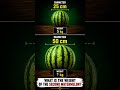 what is the weight the second watermelon