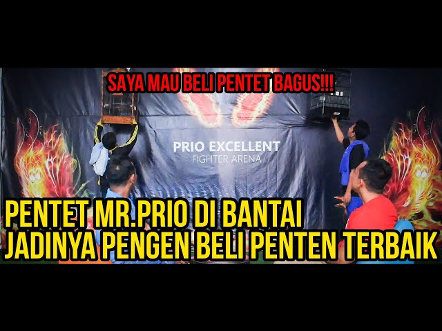 Mr  Prio Di Bantai Pemain Cendet Senior, Dewa Killer Sang Jawara2 class=