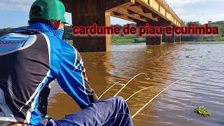Pescaria Raiz no Rio turvo de curimba e piau  é fatal quando se usa a isca e a técnica certa