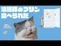 冷蔵庫のプリンが食べられてるッッ！！！【漫才】【コント】 【猫アニメ】