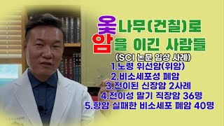 옻나무(건칠)로 암을 이긴 사람들. SCI논문 사례. 옻나무는 암세포를 독살하고, 굶겨 죽이고, 포위해서 죽이고, 스스로 소멸 하게 하며, 태어나는 것도 막아 주기 때문 #항암음식