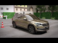 SKODA Kodiaq Area View