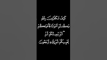 "كَيْفَ تَكْفُرُونَ بِاللَّهِ وَكُنتُمْ أَمْوَاتًا فَأَحْيَاكُمْ" #القرآن_الكريم #quran #سورة_البقرة