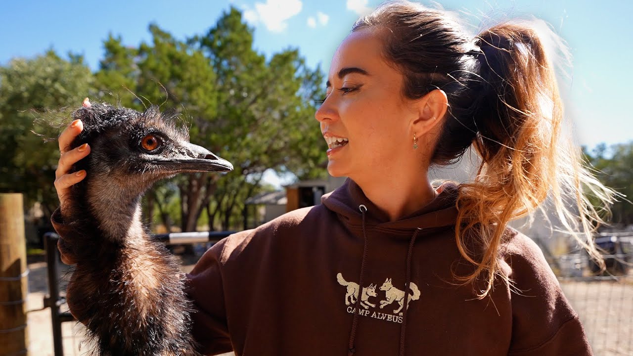 a day in the life with 38 animals