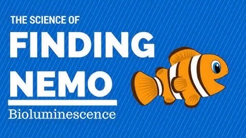 The Science of Finding Nemo