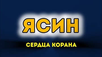СУРА ЯСИН سورة يس СЕРДЦА КОРАНА - СЛУШАЙТЕ КАЖДЫЙ ДЕНЬ УТРОМ И ВЕЧЕРОМ.