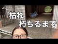 50代女/一人暮らし/久しぶりに体重計に乗る/紫陽花/明月院/北鎌倉