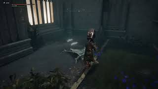 Could this be a bug Elden Ring - Walking through walls