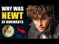 Why Newt Scamander Was on the Marauder&#39;s Map (6 Harry Potter Theories)