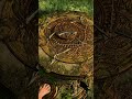 The Western Ghats Puzzle|PS5|LoCK #gaming #gamingclips #unchartedthelostlegacy #playstation