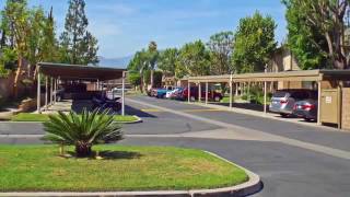 Amberwood Apartments in Chino CA - ForRent com