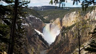 Yellowstone in May