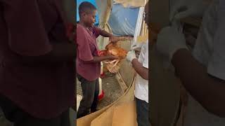 Keeping your flock safe! Vaiol-vac is the way to go for fowl pox control and prevention in chickens.