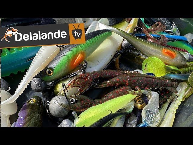 BUSTER SHAD - Delalande Pêche - Softbait
