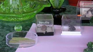 Radioactive Stuff // 2011 edition - YouTube