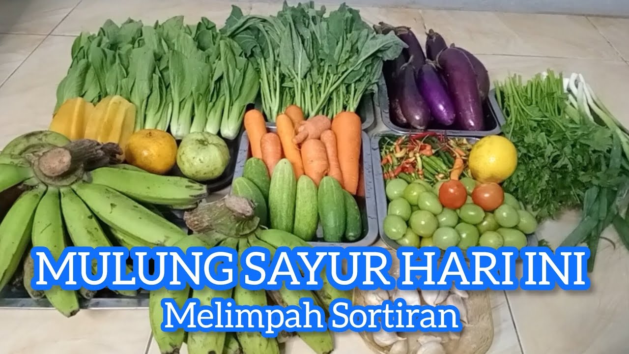 MULUNG HARI INI MELIMPAHNYA SORTIRAN SAYUR & PISANG MENTAH