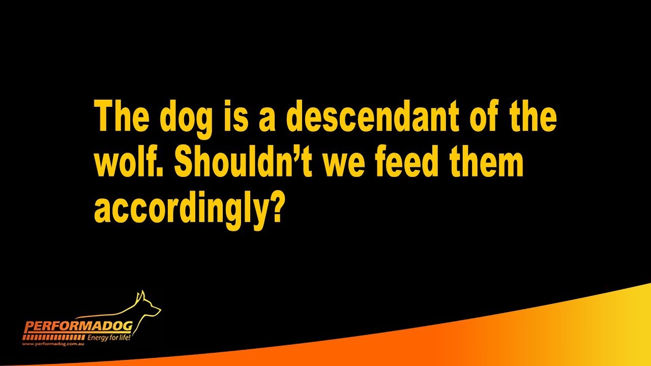 The dog is a descendant of the wolf  Shouldn’t we feed them accordingly