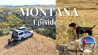 My Kind of Hunt! Montana 2025 part 2