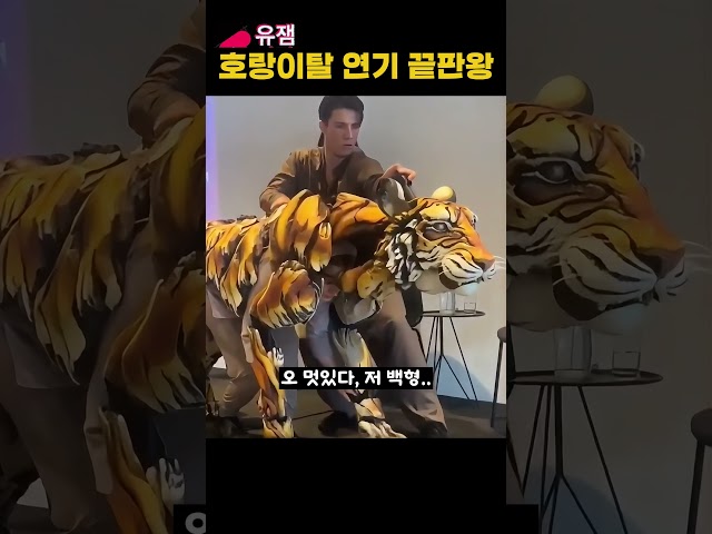 호랑이탈 연가 끝판왕