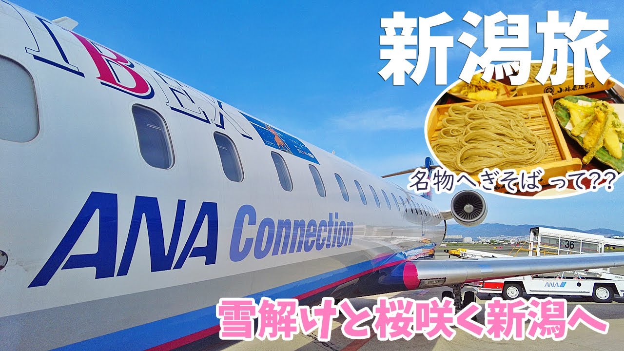 [ 新潟県 2泊3日の旅 ]　#1 アイベックスエアラインズのCRJ700で伊丹空港から新潟空港まで　新潟空港からはレンタカーで貝掛温泉まで　日産プロパイロットに感動♪