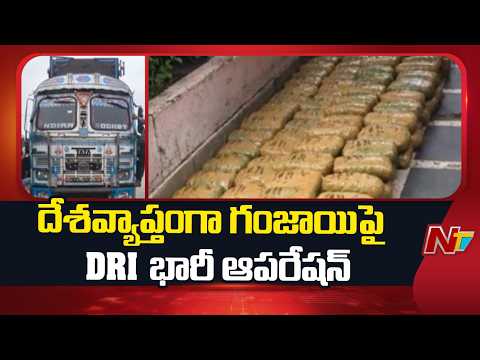 దేశవ్యాప్తంగా గంజాయిపై DRI భారీ ఆపరేషన్ | NTV Telugu - NTVTELUGU