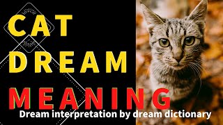 Unraveling the Symbolism of Cats Appearing in Dreams