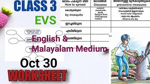 Class 3 Evs Worksheet October 30/Itsvicters Worksheet/ Teaching Corner By Safna