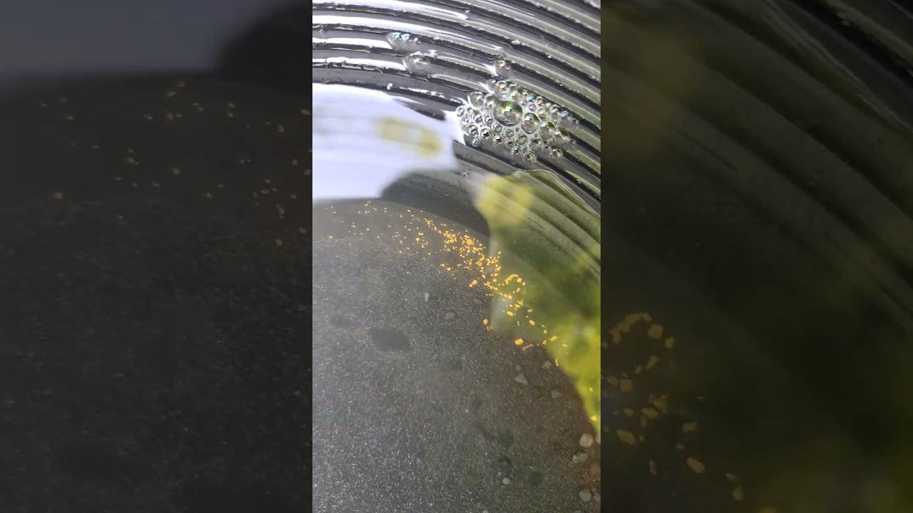 Gold rush ohio prospecting creek mountain river dredging pan learn how to teach dream mat Keene MVP