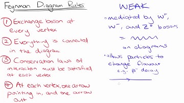 Weak and strong diagrams | Standard Model | meriSTEM