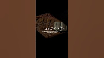 قل إن تخفوا ما في صدوركم أو تبدوه يعلمه الله || القارئ إسلام صبحي 🌿☁️