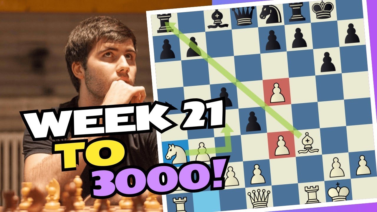 Week 21 to 3000 with Bird's Opening