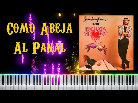 Juan Luis Guerra – Como Abeja Al Panal [Piano Tutorial]