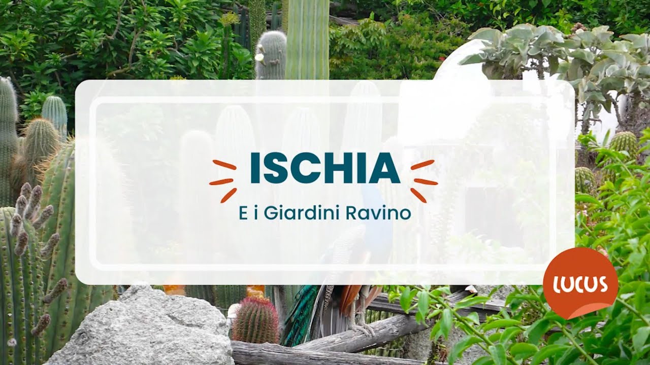 Ischia e i Giardini Ravino - 16 settembre 2023 - 