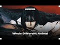 Aespa WDA Whole Different Animal Feat G DRAGON Instrumental 