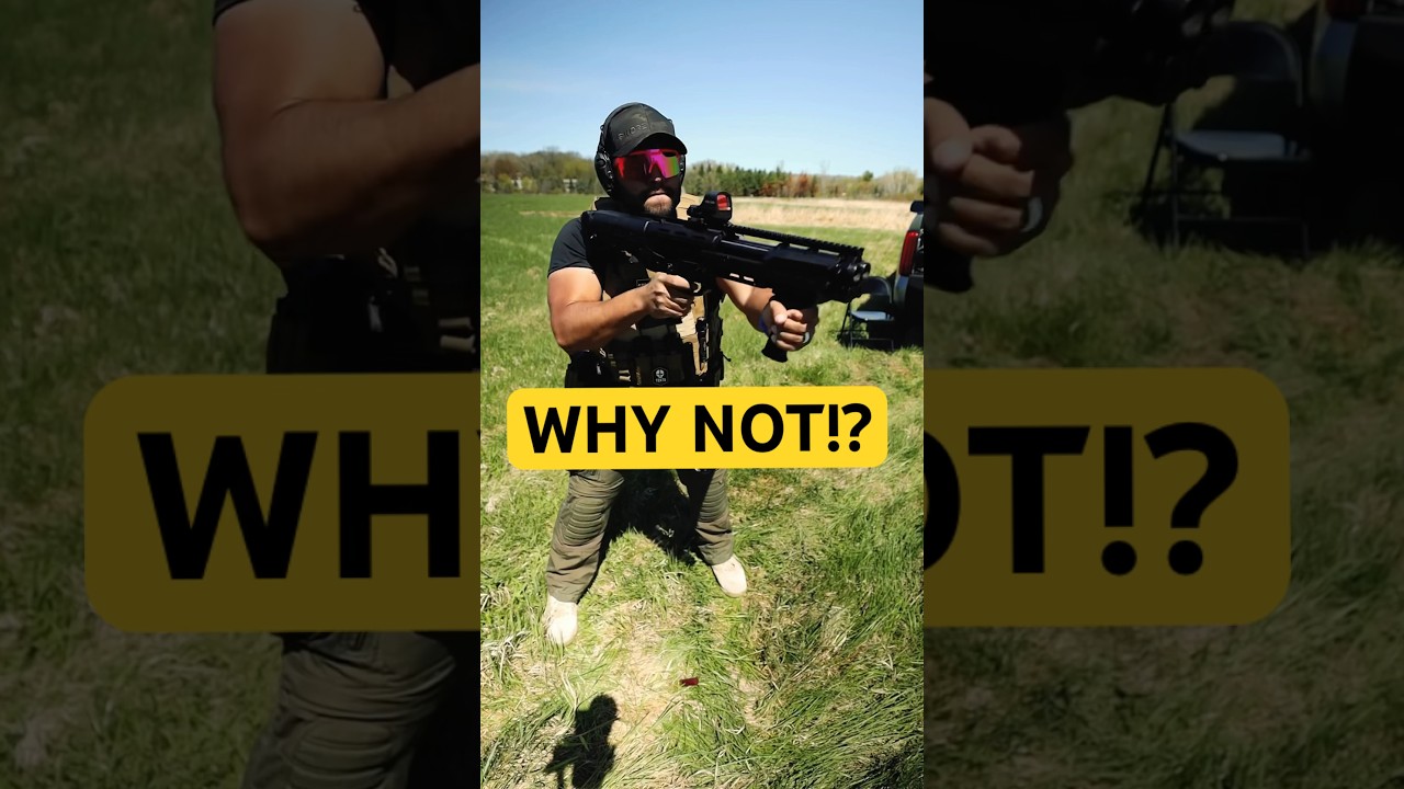 They Really Asked Me Why I Have Shells??