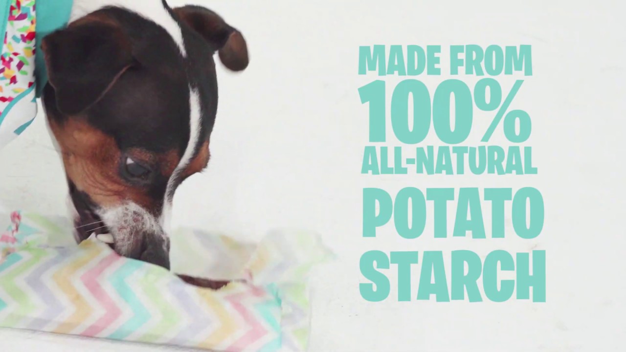 Is There Edible Wrapping Paper For Dogs