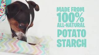 dog safe wrapping paper