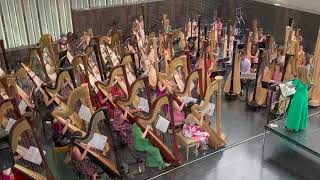 Danza De Luzma 68 Harps - Alfredo Rolando Ortiz
