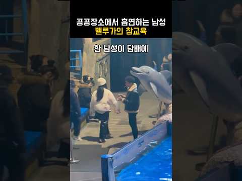 공공장소에서 흡연하는 남성 벨루가의 참교육 thumbnail