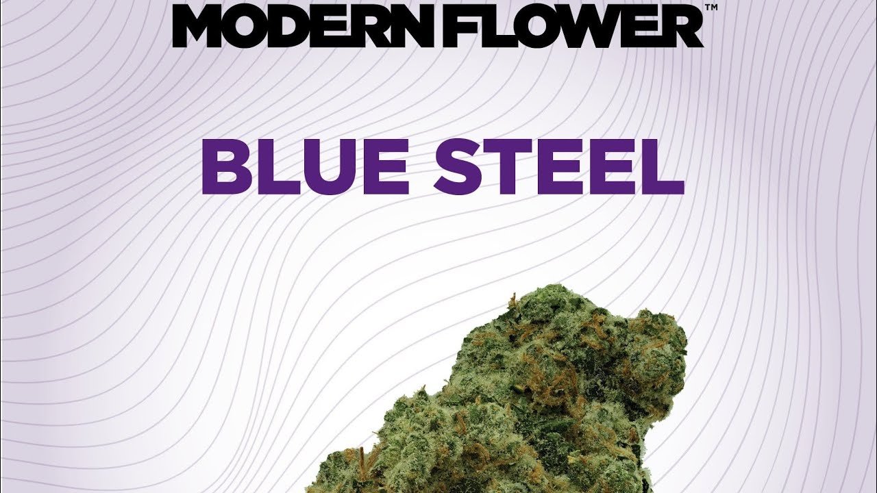 Blue Steel Strain Review 