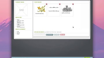 Rite Stuff 2.0: Using the Clip Art Library