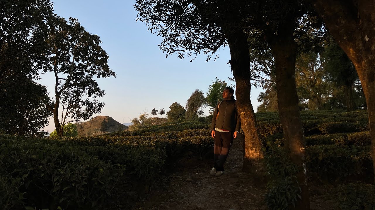 A day in Teesta Valley || Darjeeling