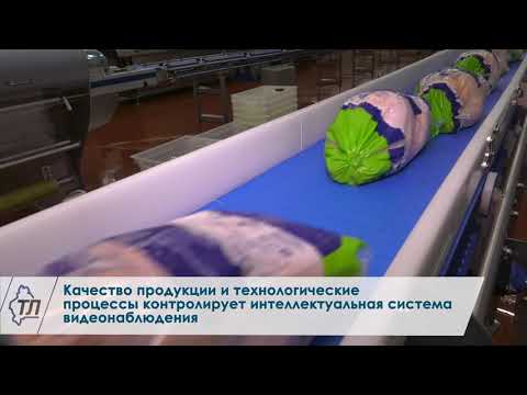 В Тюменской области на заводе «Руском» начались пусконаладочные работы