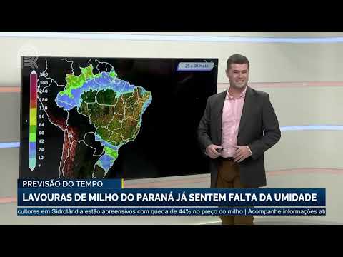 Previsão do Tempo: Lavouras de milho do Paraná já sentem falta da umidade | Canal Rural