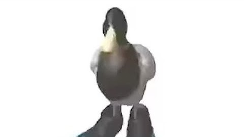 duck spinning to geometry dash practice mode song for 3 minutes