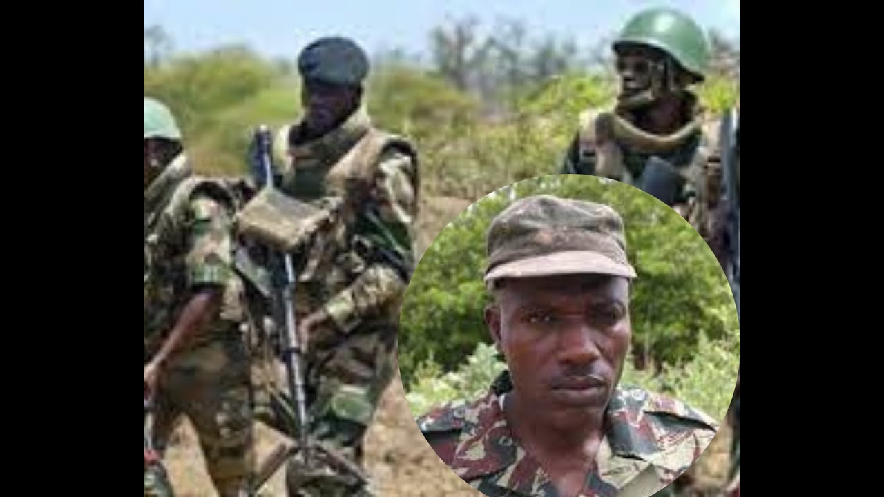 Djibidione: L'Armée Récupère les Bases Rebelles de César Atoute Badiate, Des Tonnes de Yamba Saisies