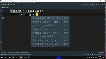 How to check if a Python string starts with a specific character