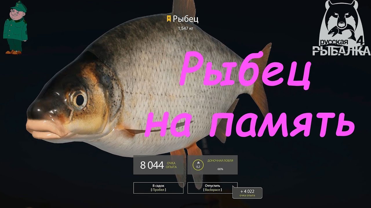 Рр3 белоглазка волга