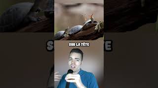 Des Images À Voir Au Moins Une Fois Dans Sa Vie