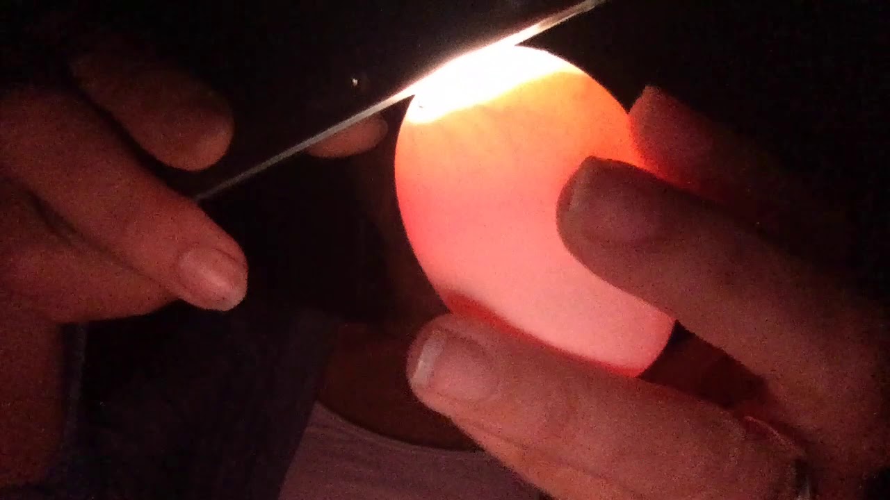 candling eggs YouTube